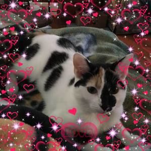 Meet your Posher, Linda